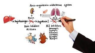 Pharmacology - HYPERTENSION & ANTIHYPERTENSIVES MADE EASY