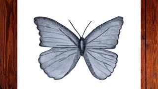 How To Draw Butterfly Easy Butterfly Drawing Step By Step