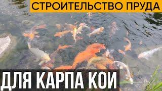 Рассказываю о строительстве пруда для карпов. Обзор пруда. Этапы строительства.