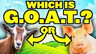 FARM DAY OUT WHICH ANIMAL IS BEST? - Digitiser