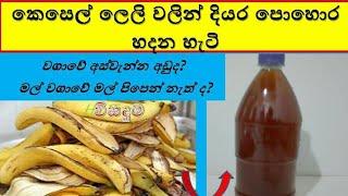 කෙ‍සෙල් ‍ලෙලි දියර ‍පො‍හොර  kesel leli diyara pohora  Banana peel liquid fertilizer  agriculture