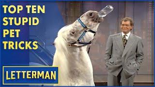 Top Ten Stupid Pet Tricks  Letterman