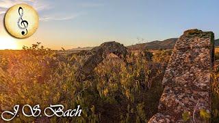 Ruined Ancient Chapel in the Countryside at Sunset  Just Instrumental Music Short Video