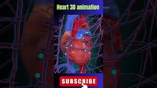 open heart 3D animation #viral #neet2023 #goodtoknow #shorts