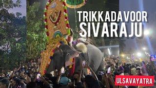 Thrikkadavoor sivaraju mass entry announcement by shylesh vaikom