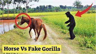 Horse vs Fake Gorilla  Funny Gorilla Prank And 2 Dog Reaction Prank  Can Not Stop You Laugh