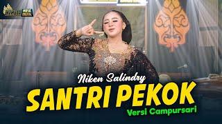 Niken Salindry - Santri Pekok  - Kembar Campursari Official Music Video