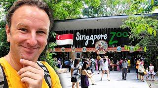 SINGAPORE ZOO Guide The Worlds Best Rainforest Zoo