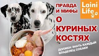 Трубчатые куриные кости собакам - можно или нет?