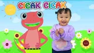 LAGU ANAK CICAK CICAK DI DINDING AYASHA & BEYZA  LAGU ANAK INDONESIA POPULER