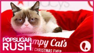 Grumpy Cats Worst Christmas Ever Movie Preview