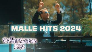 DJ Aaron - Malle Hits 2024 - DAS DJ SET ZUM BALLERMANN OPENING Offizielles Live Video