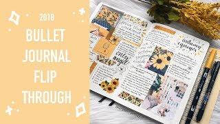 2018 Bullet Journal Flip Through 