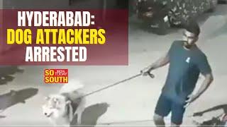 Hyderabad Husky attack case 5 Arrested for Attack on Dog and Owner  SoSouth