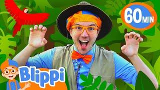 Blippis Day in the Life of the Animals  Blippi  Educational Videos for Kids