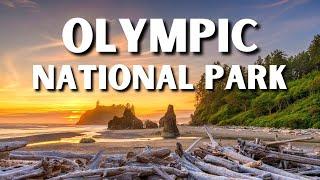 The 20 BEST Things To Do In Olympic National Park  Olympic National Park Travel Guide