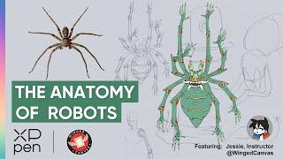 Robot Design - Spider anatomy design as an example