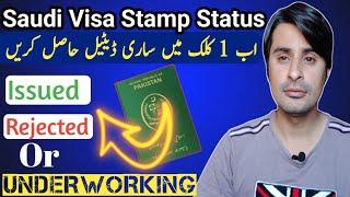 How To Check Saudi Visa Status Online  Saudi Visa Stamping Rejection  E Visa Stamping Reject