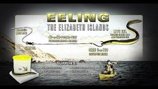 How To Rig Eels For Striped Bass