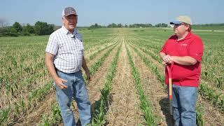 Planting Green Spring Field Check