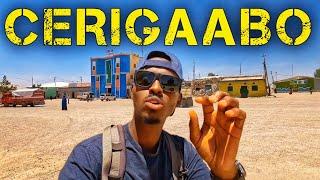 Ceerigaabo - Greenest city of Somaliland  Magaalada Cagaaran  ERIGAVO  Ep 59