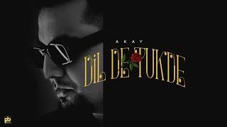 Dil De Tukde Official Audio A Kay  Pendu Boyz  Latest Punjabi Songs 2024