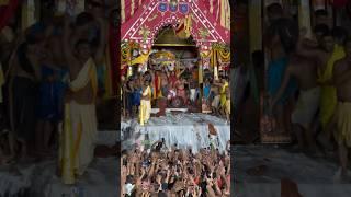 Shree Jagannath maha prasad for evil spirits and ghostly bodies  Rath yatra 2024  #shorts