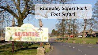 A Trip To Knowsley Safari Park Zoo Prescot Liverpool 2022 Foot Safari Animal & Park Footage