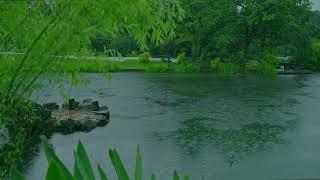 The beautiful little lake is raining182  sleep relax meditate study work ASMR