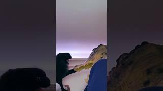 Cats vs Crocodile Mask #catpranks #crocodileprank