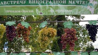 16.09.2023 г.Гомель  выставка винограда. 3 День белорусского винограда.
