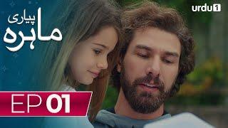 Pyari Mahira   Episode 1  Turkish Drama  My Sweet Lie   11 December 2023