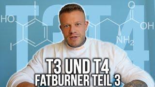 T3 und T4 - Schilddrüsenhormone Dünn aber Flach?  Fatburner Teil 3