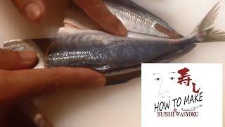 How to clean fishhorse mackerelSTEP1 sushi.Japanese sushi chef of professional