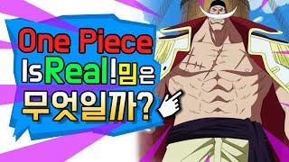 One piece is Real 밈은 도대체 무엇일까?feat. 원피스 밈 the one piece is real 밈