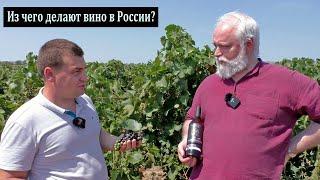 Из чего делают вино в России?