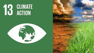 UN Sustainable Development Goals  Climate Action 13