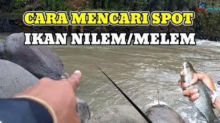 Cara Mencari Spot NilemMelem  Mancing Melem Babon