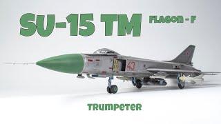 SU-15 TM. TRUMPETER in the 72nd. Assembly and painting of the model.