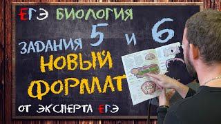 НОВЫЙ ФОРМАТ заданий 5 и 6  подборка #1  БИОЛОГИЯ ЕГЭ 2022