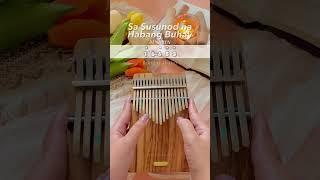 Sa Susunod na Habang Buhay Ben&Ben on the Kalimba