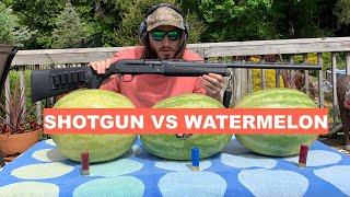 12 Gauge Shotgun Vs Watermelons