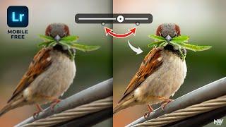 Use This TRICK to SHARPEN Your Images in Lightroom App  Reduce Noise  Android  iOS