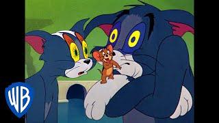 Tom & Jerry  Sleepy Tom  Classic Cartoon  WB Kids