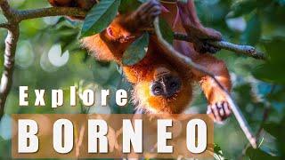 Explore Borneo Malaysia - 2 week itinerary