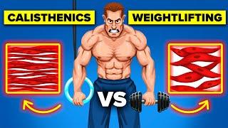 Study Reveals Calisthenics vs. Weightlifting Which One Is Best for You?  The Workout Show