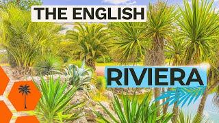 Torquay Palms & Exotic Plants Exploring The English Riviera