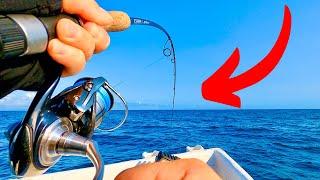 WHAT HAVE I HOOKED?  Moreton Bay Fishing