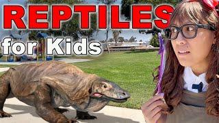 Reptile Stories for Kids  Soso Reptiles Toys Come To Life