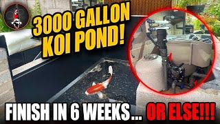 3000 GALLON KOI POND HAD TO BE DONE IN 6 WEEKS